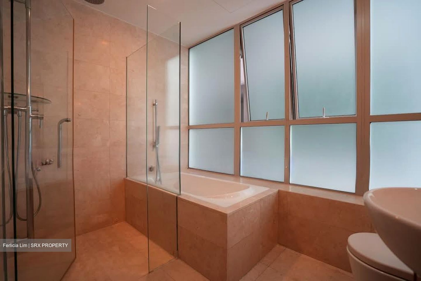 The Rochester Residences (D5), Apartment #550278811